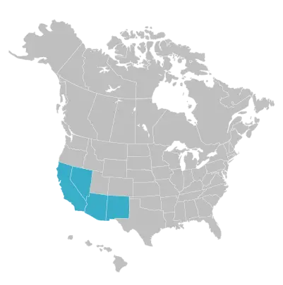 Southwest Map
