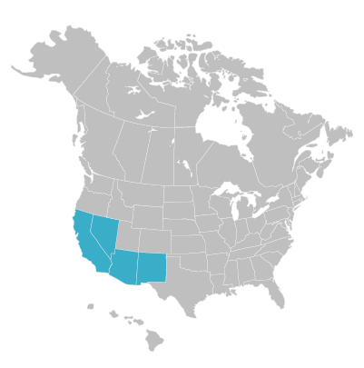 Southwest Map